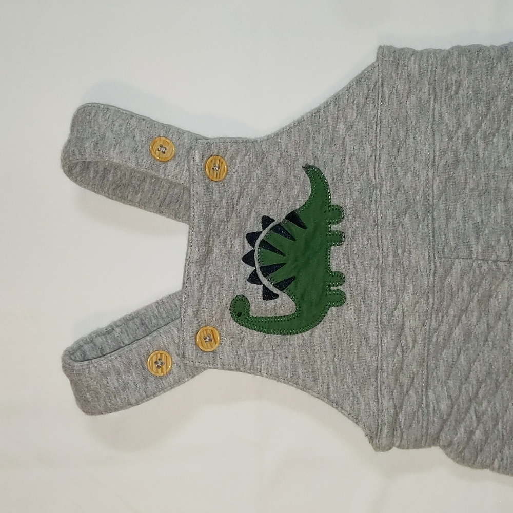 Gray Dinosaur Coveralls 6M